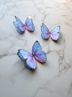 Blue butterfly cake toppers cupcake topper charms - Demi's Krafts
