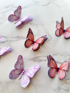 3D brown butterfly cake toppers cupcake topper charms - Demi's Krafts